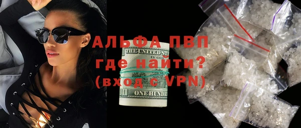 молекула духа Козельск