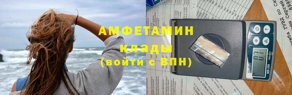 молекула духа Козельск