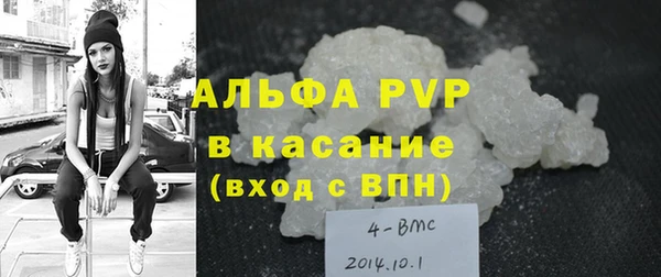 молекула духа Козельск