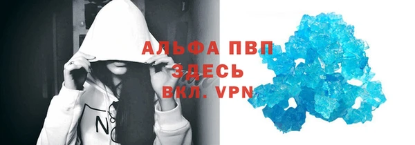 молекула духа Козельск