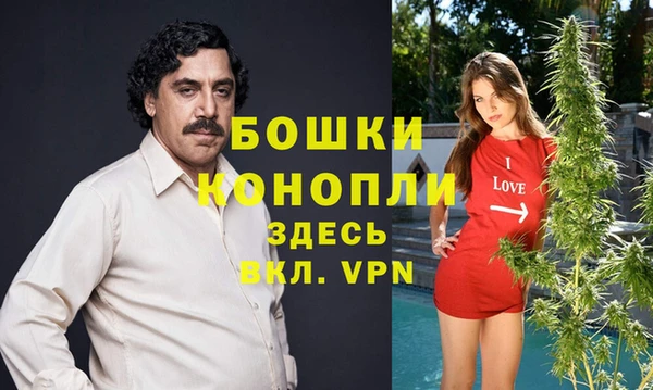 молекула духа Козельск