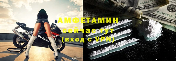 молекула духа Козельск