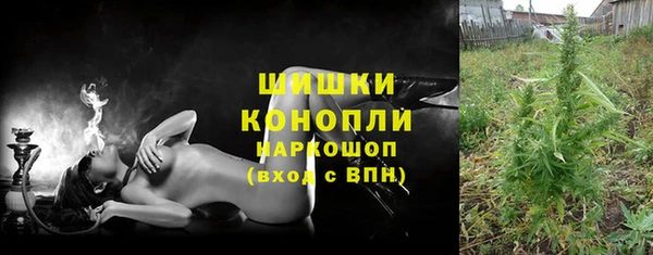 spice Козловка