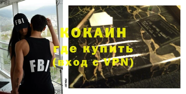 молекула духа Козельск