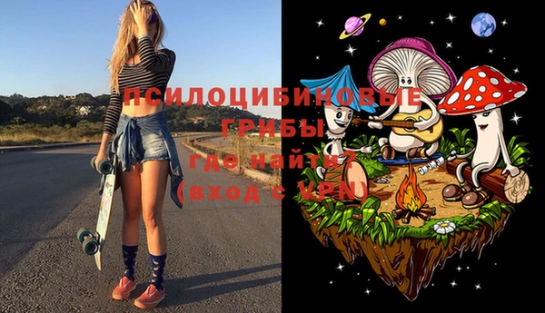 молекула духа Козельск