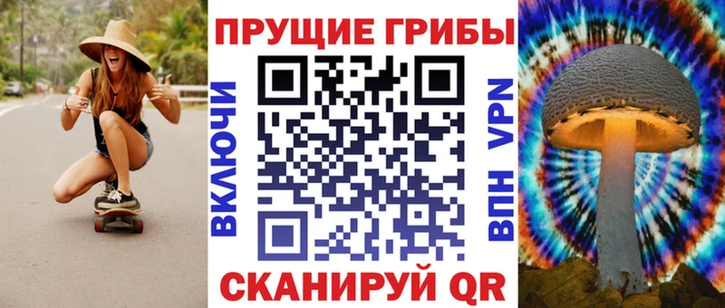 Галлюциногенные грибы MAGIC MUSHROOMS  Купить закладки  Городовиковск 